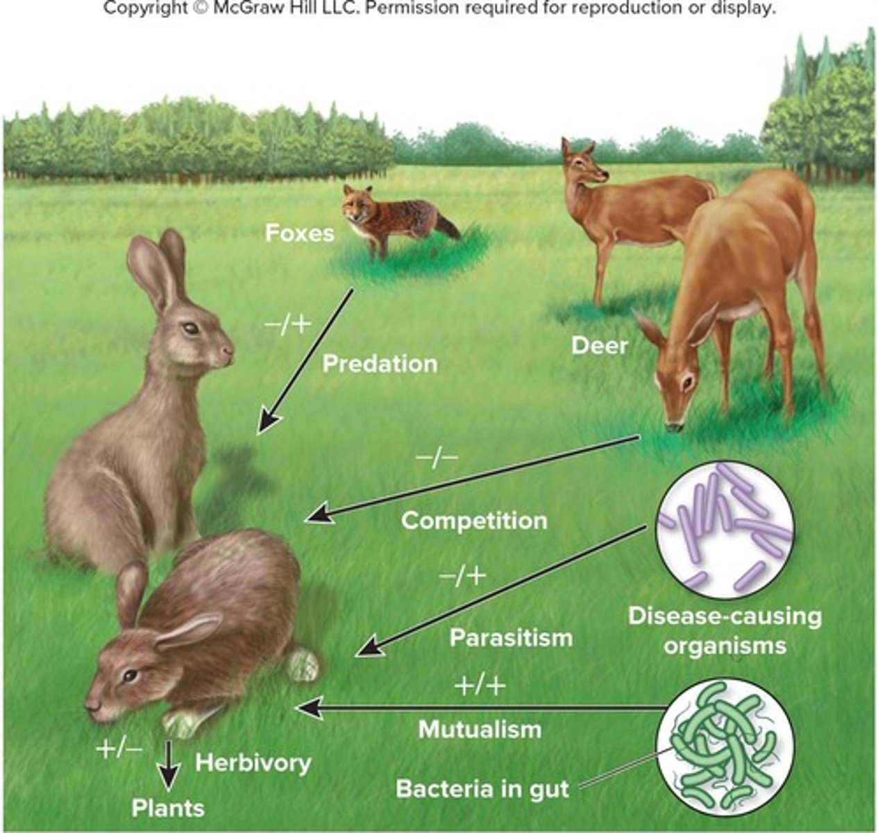 <p>An interaction where one species is harmed while the other is unaffected.</p>