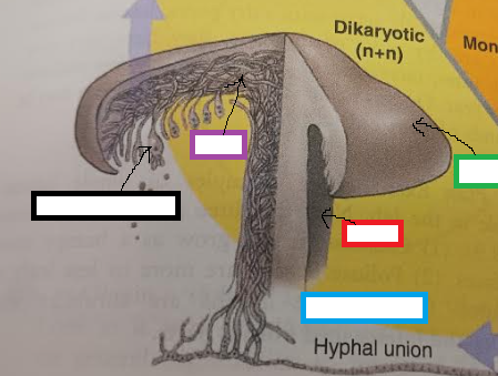 <p>What is this showing?</p>