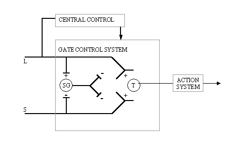 <p>Operates @ Spinal Level, proposing single gate mechanism located in the Second Order Neurons</p><p>Both large and small fibers stimulate T Cells which pass information to the action system, but they stimulate differently— Large fiber = + on SG, Small fiber = - on SG</p><p>Inhibitory mechanism located in the SG (inhibiting T Cell)</p><p>Central Control (brain) inhibits or facilitates the T cell directly. Central control integrates information from multiple sources.</p>