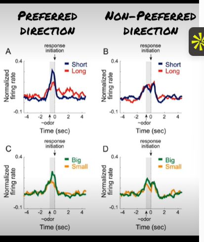 <p>what does the population response tell us? <span style="background-color: transparent;"><strong><span>Roesch et al (2009) - ventral staital neurons</span></strong></span></p>