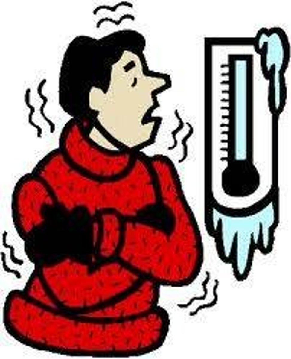 <p>adj /ˈtʃɪli/ cold enough to make you feel uncomfortable</p>