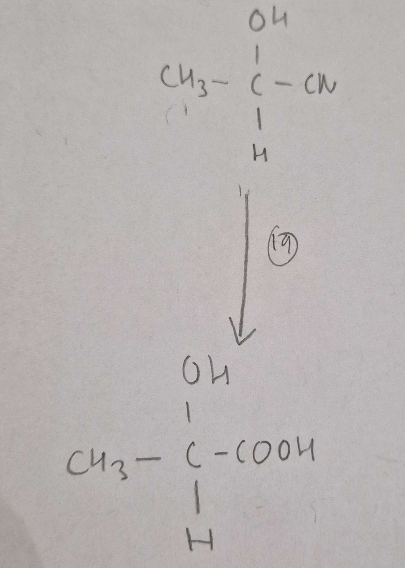 <p>Hydroxynitrile to Hydroxycarboxylic Acid Mechanism:</p>