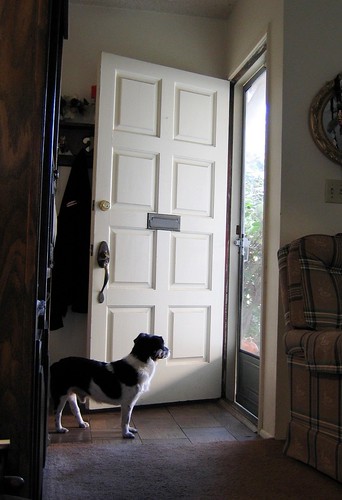 to expect beforehand