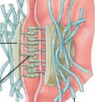 <p>What are the blue lines?</p>