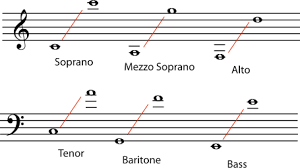 <p>The general <span>range</span> of pitches found in a melody or vocal part </p>