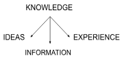 <p>Study of human knowledge</p>