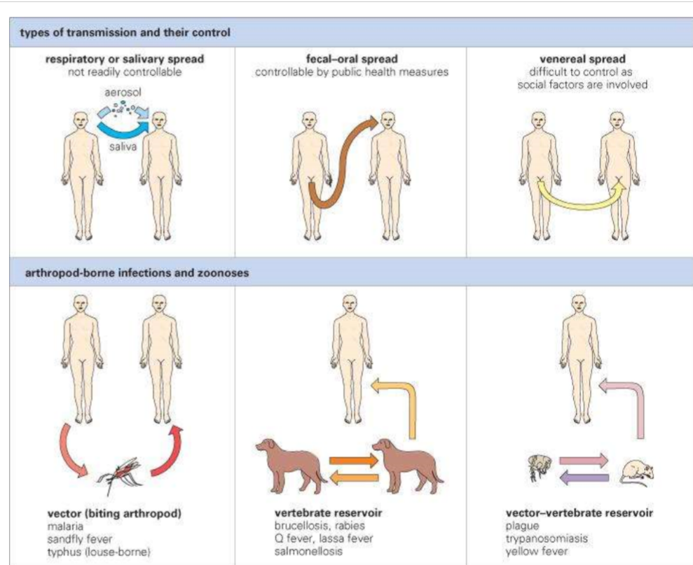 Physical contact w person (i.e. STDs or skin infection) 

Contact w fomites

Ingesting infected food or drink 

Entry of soil or dust into wound 

Bites by insects 

Unsterile medical procedures 

Infection carried by mother’s bloodstream

Self-infection - poor hygiene 
