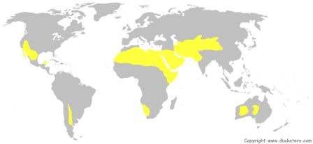 An area where evaporation exceeds precipitation and usually has little vegitation. around 30 degrees or behind mountains