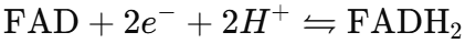 <p><span style="background-color: transparent;"><span>-It's a coenzyme&nbsp;</span></span></p><p><span style="background-color: transparent;"><span>-When its reduced it forms FADH2​</span></span></p>