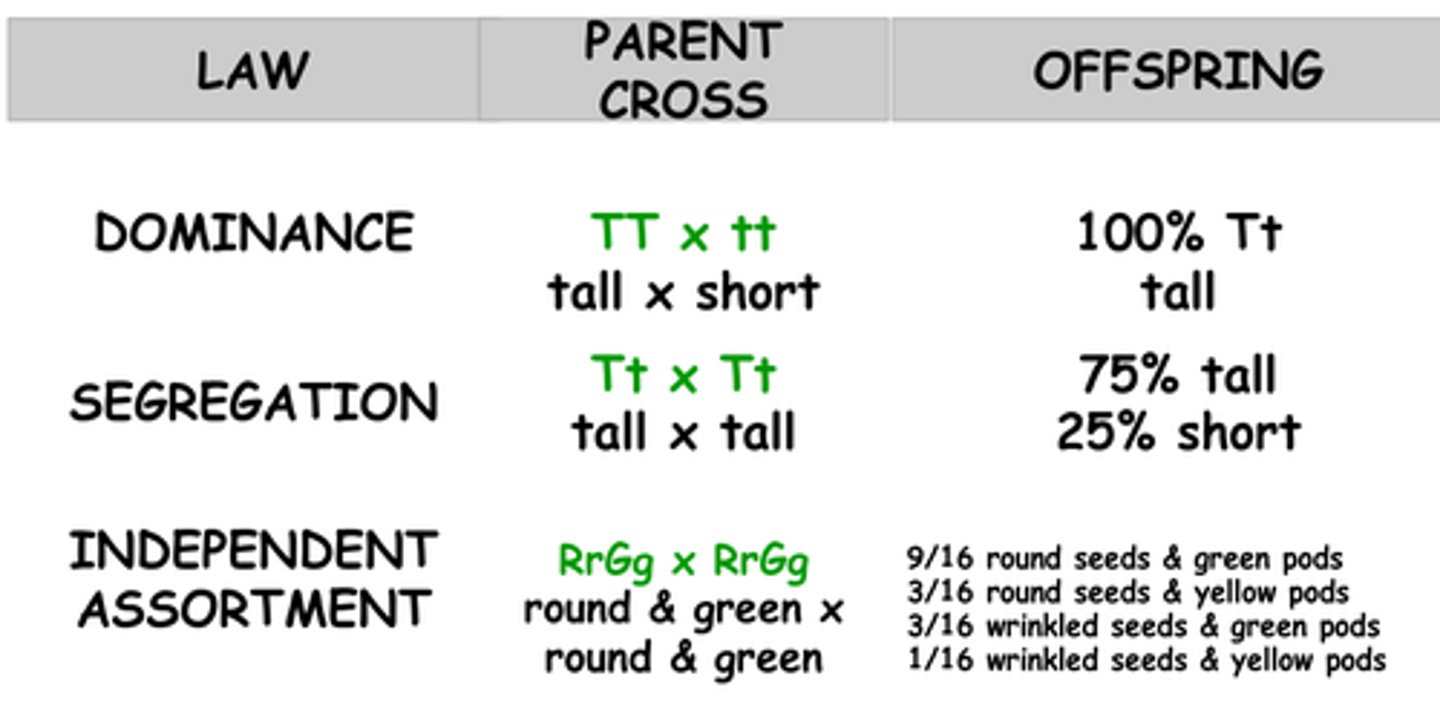 <p>Law of dominance</p><p>Law of segregation</p><p>Law of Independent assortment</p>