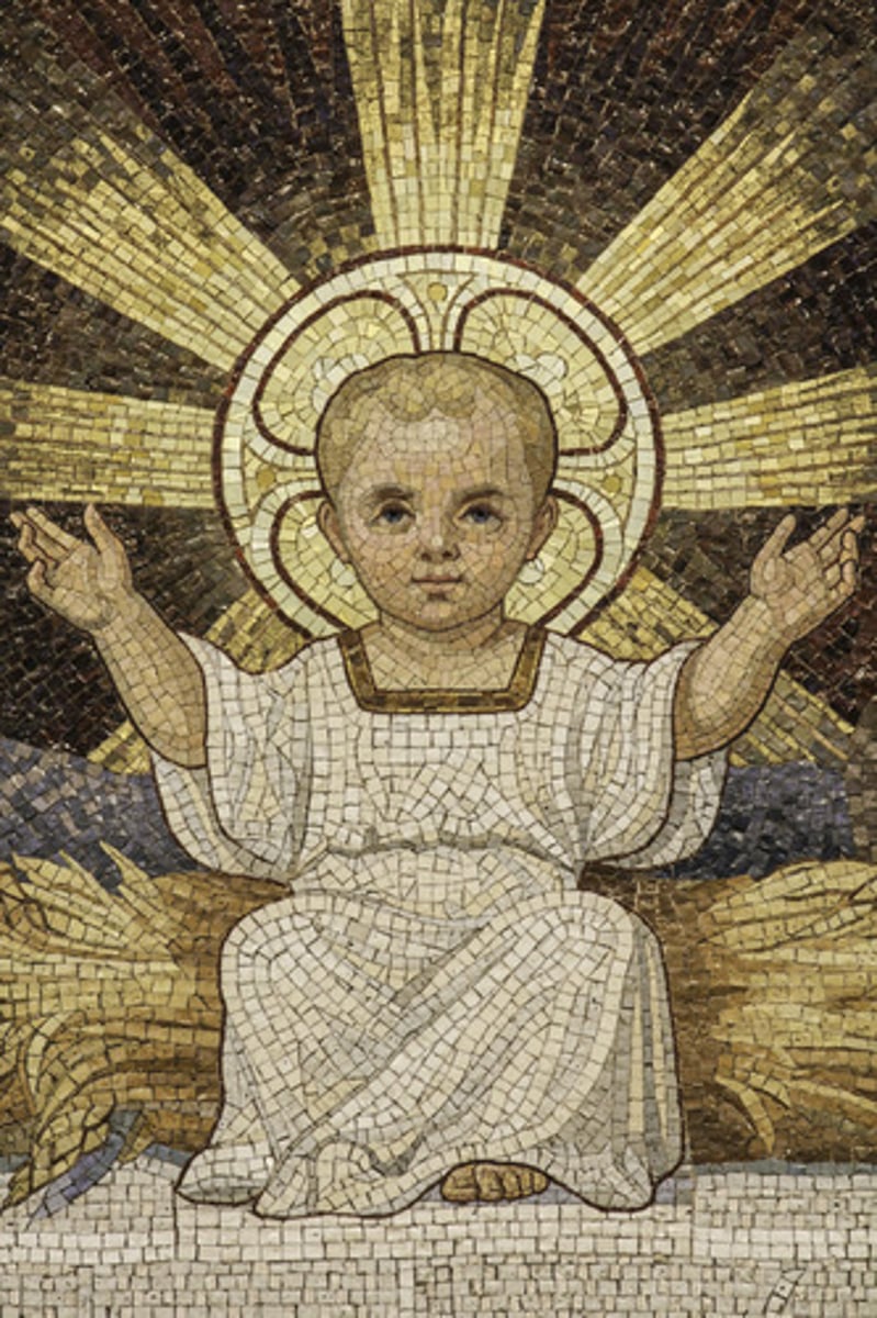 <p>basic teaching of christianity. belief that jesus took on a human body and is everything that is huma (emotions and experience) are thereby both man and god (divine)</p>
