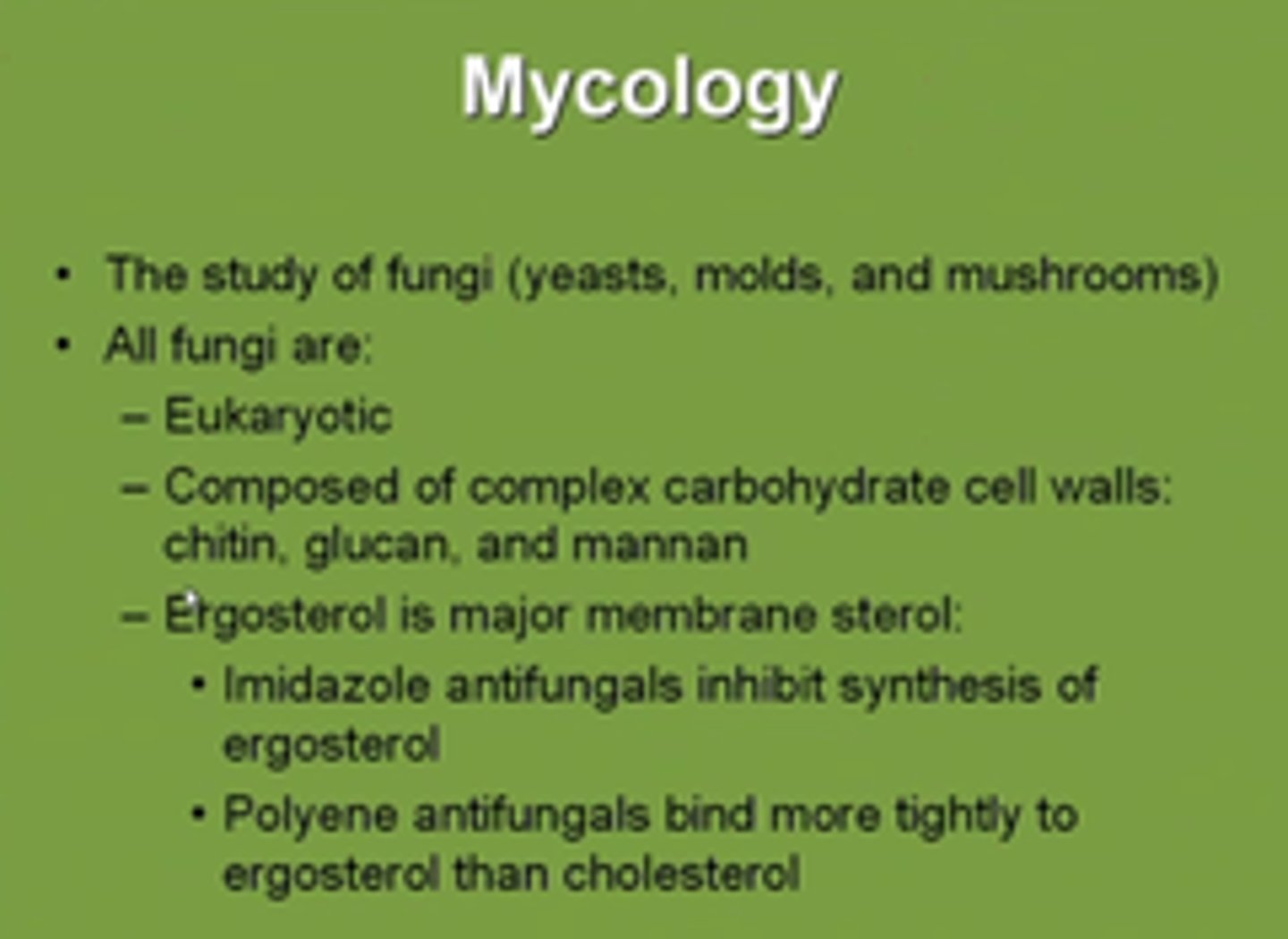 <p>scientific study of fungi</p>