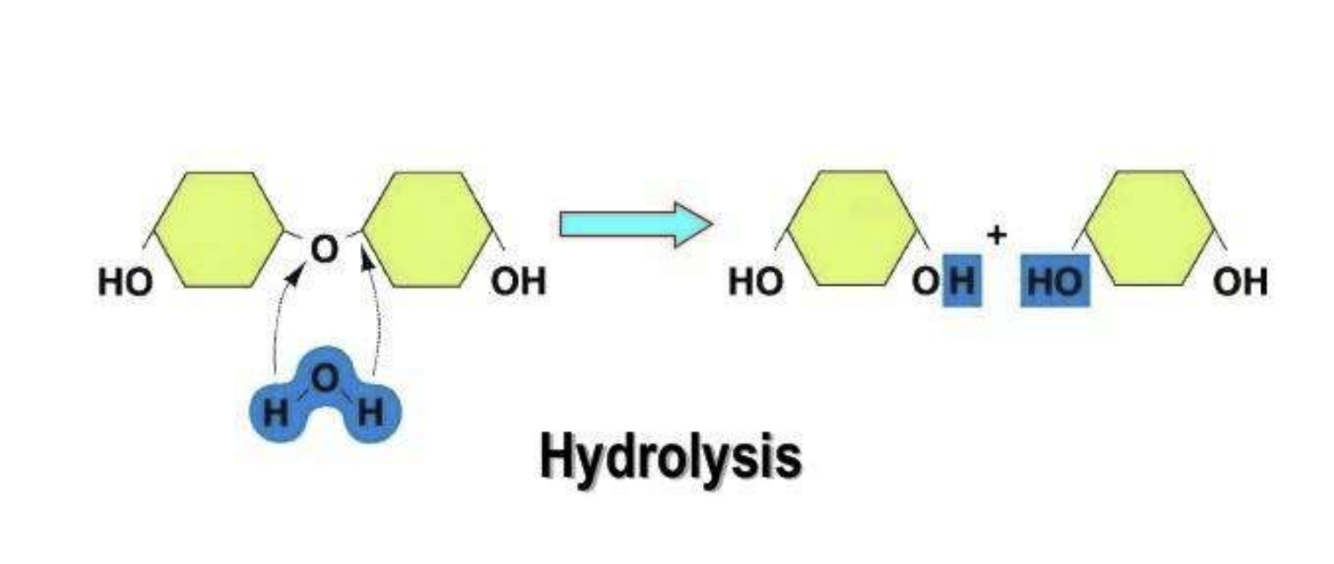 <p>Breaking of polymers </p><ul><li><p>oxygen bridge separates</p></li></ul><p></p>