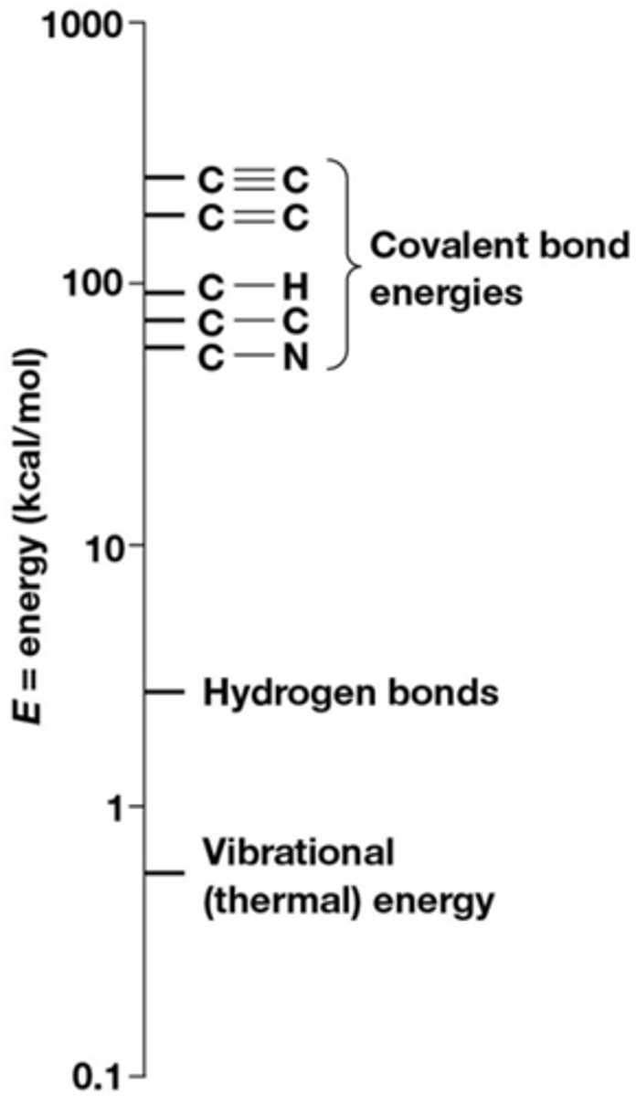 <p>Ze zijn heel stabiel -> er is veel bindingsenergie nodig om ze te breken</p><p>UV-licht (van de zon) kan covalente bindingen breken, zichtbaar licht kan dat niet</p><p>-> de ozonlaag houdt veel UV-licht tegen daarom dat we kunnen leven op aarde</p>