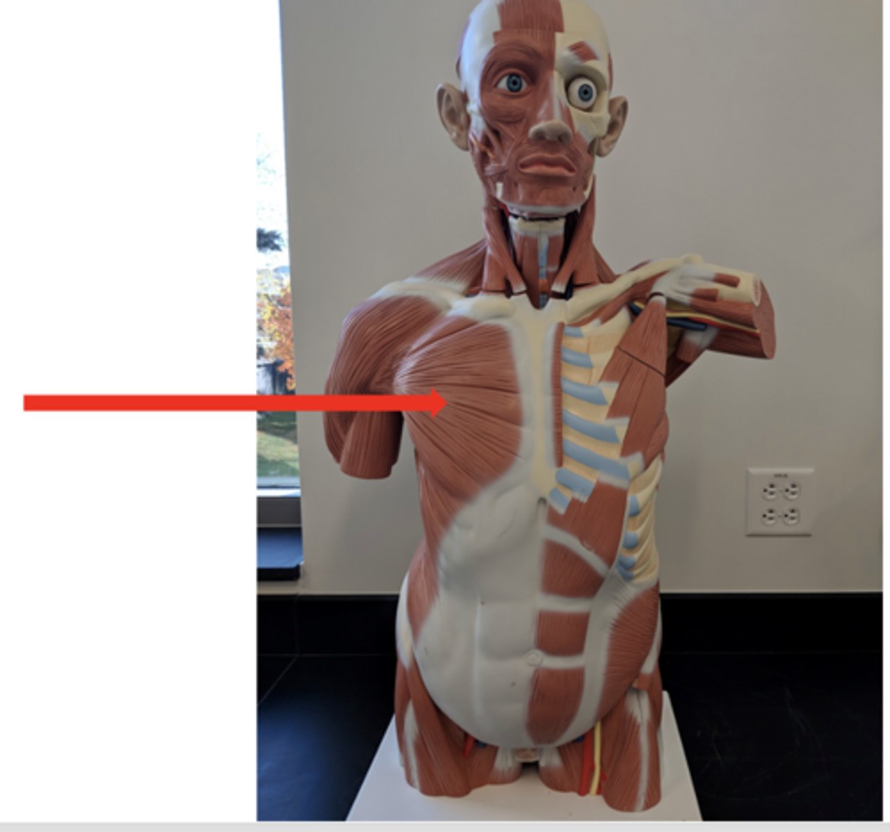 <p>what is this?</p>