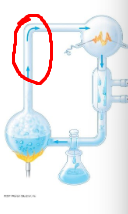 <p>Identify process circled in red</p>