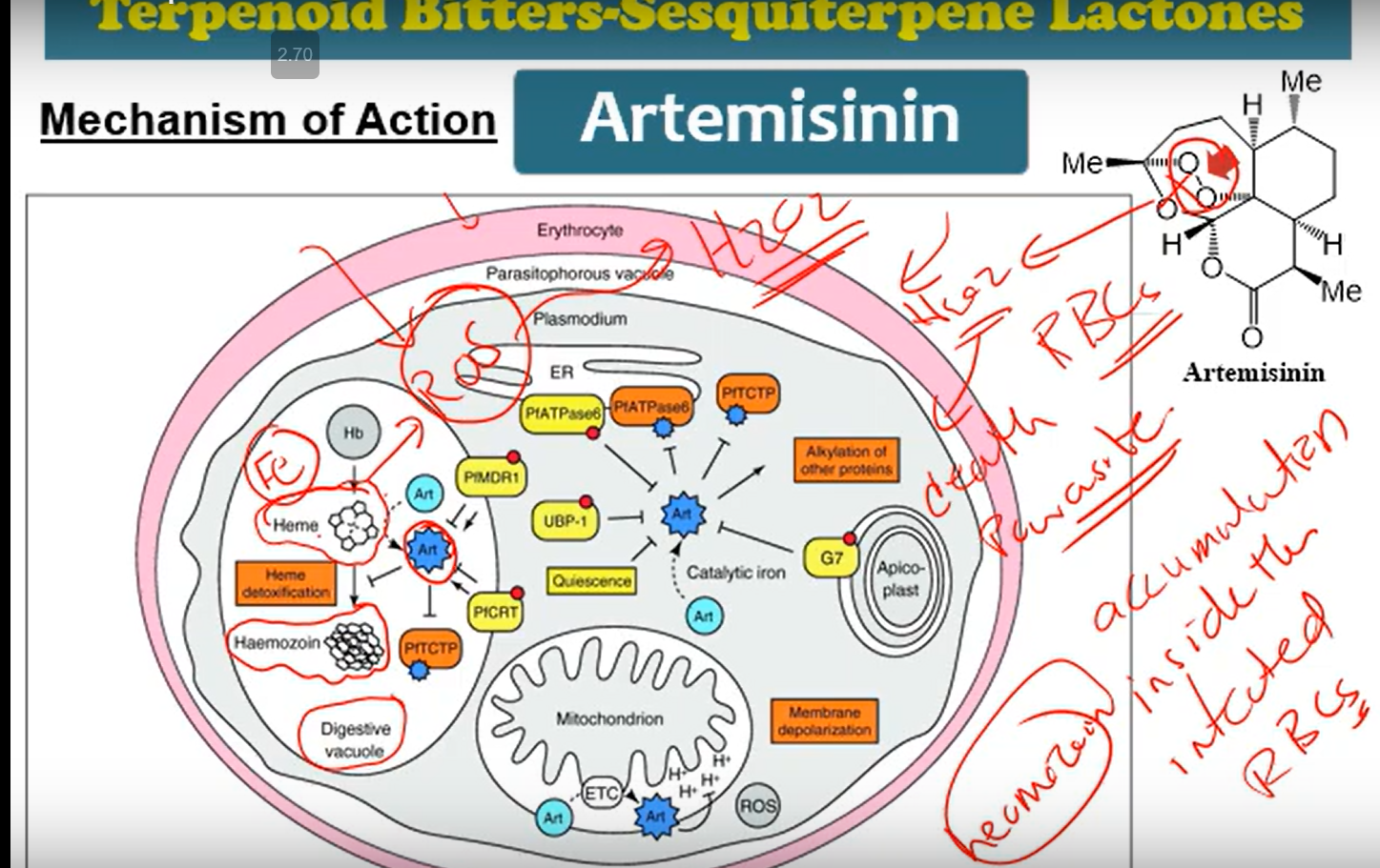 <p>Mechanism of Artemisinin's Activity?</p>