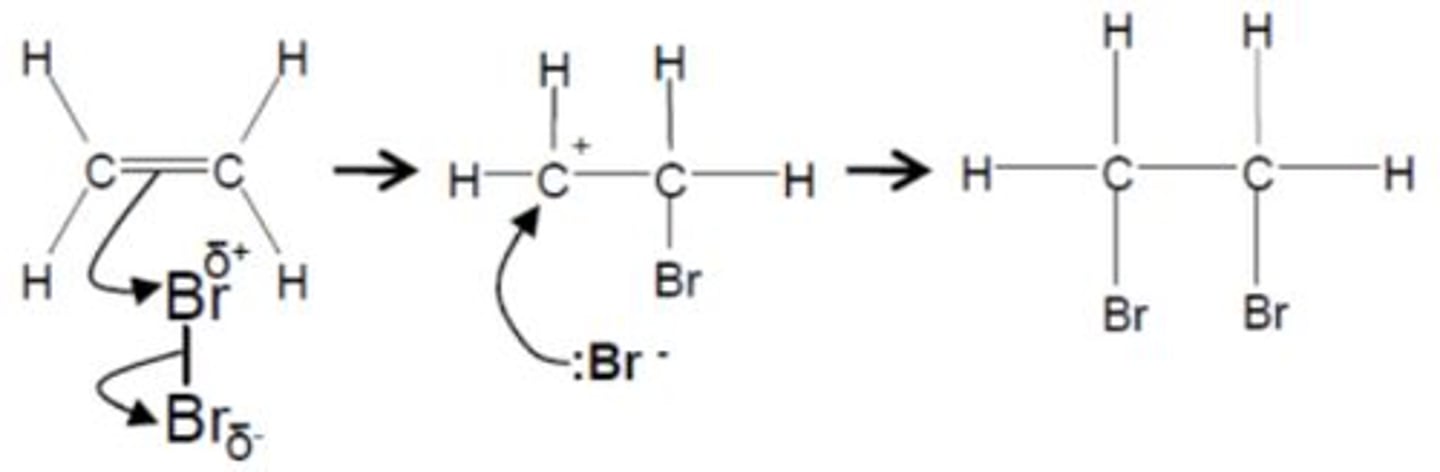 <p>1. The Br2 molecules approaches the alkene</p><p>2. Electrons in the pi bond induce a temporary dipole in Br2 causing the Br+ to attack the electron dense pi bond whilst also the Br-Br bond breaks by heterolytic fission</p><p>3. The positive carbon on the primary carbocation intermediate attracts the Br- ion</p>