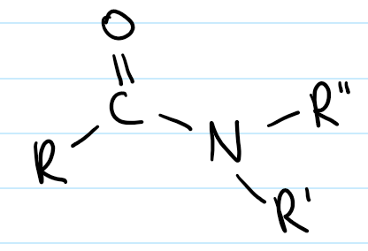 <p>a nitrogen atom adjacent to a carbonyl group</p>