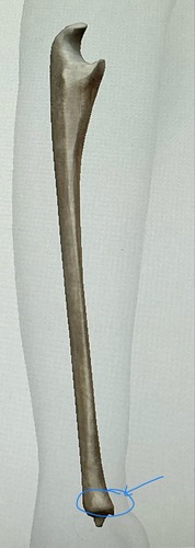 term image