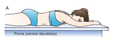 <p>A position where the patient is lying on their stomach and getting a horizontal scan(bc ___=front, ___=lying down while getting a horizontal scan)</p>