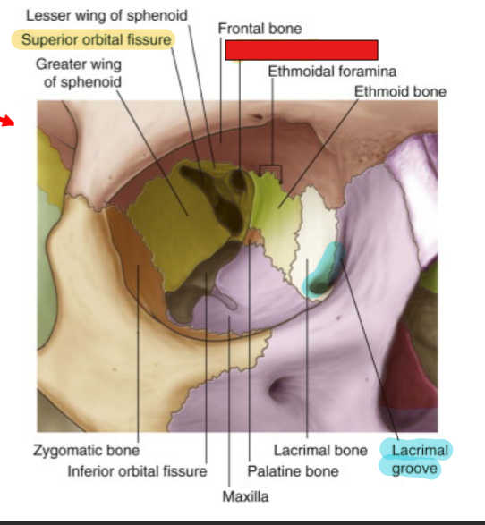 <p>fill in the red box:</p>