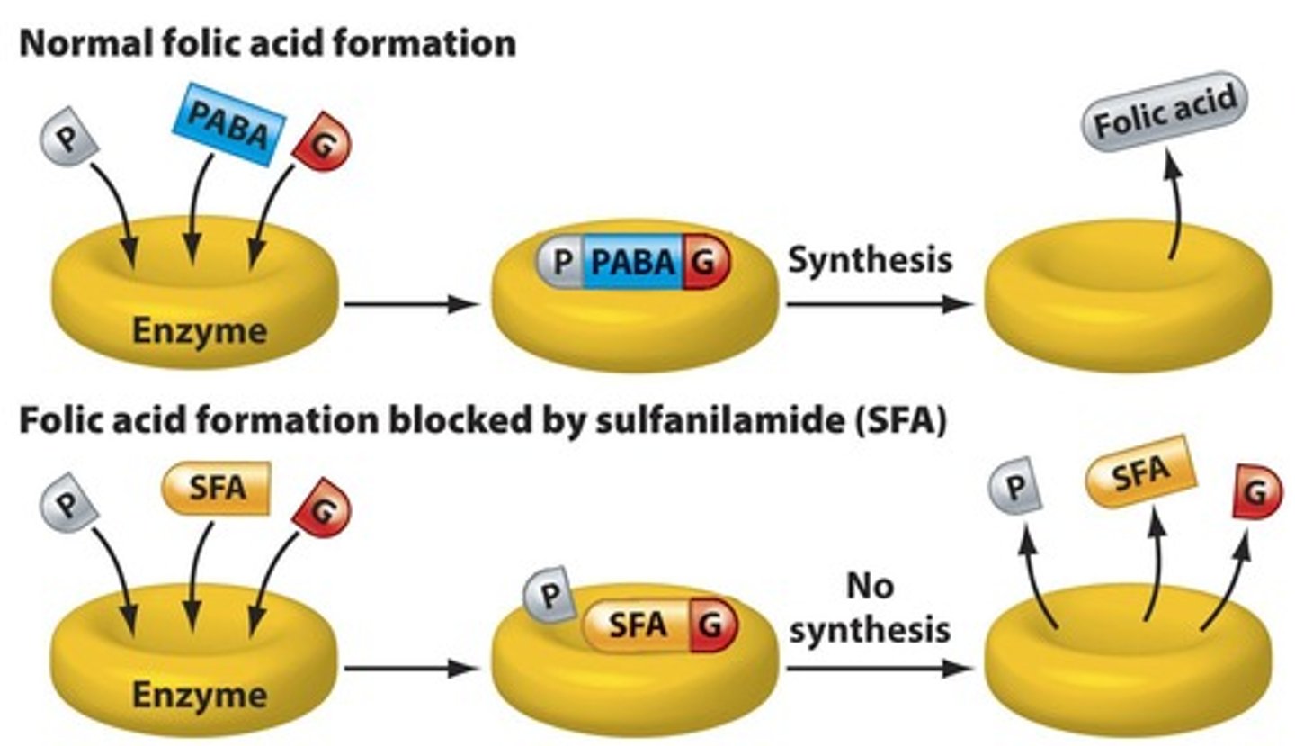 <p>Inhibit folic acid synthesis in bacteria.</p>