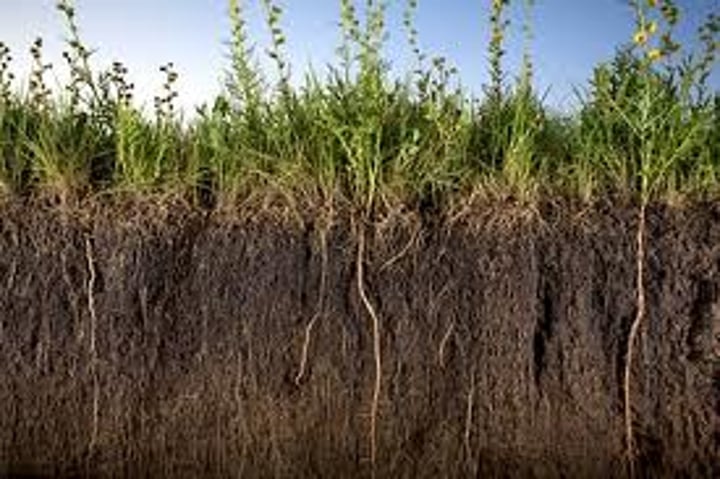 <p>A complex ecosystem made up of minerals, organic material, gases and liquids which forms the habitat for many species of plant and animal. A non-renewable resource as it cannot be replenished quickly.</p>