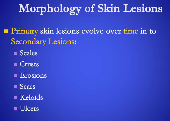 <p><span>Erosions: usually seen <strong>[where?]</strong></span></p>
