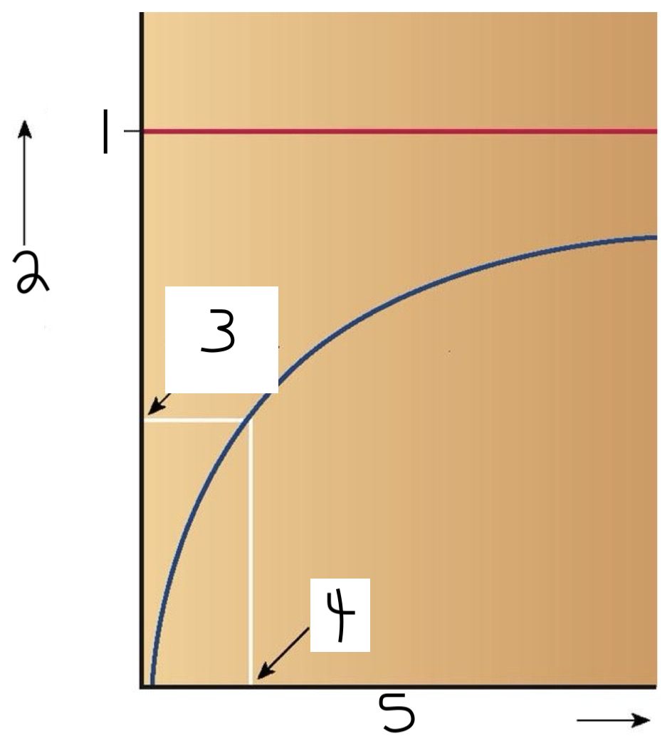 <p>Fill in the blank.</p>