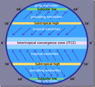 <p>A low-pressure zone near the equator where air rises and causes abundant precipitation.</p>