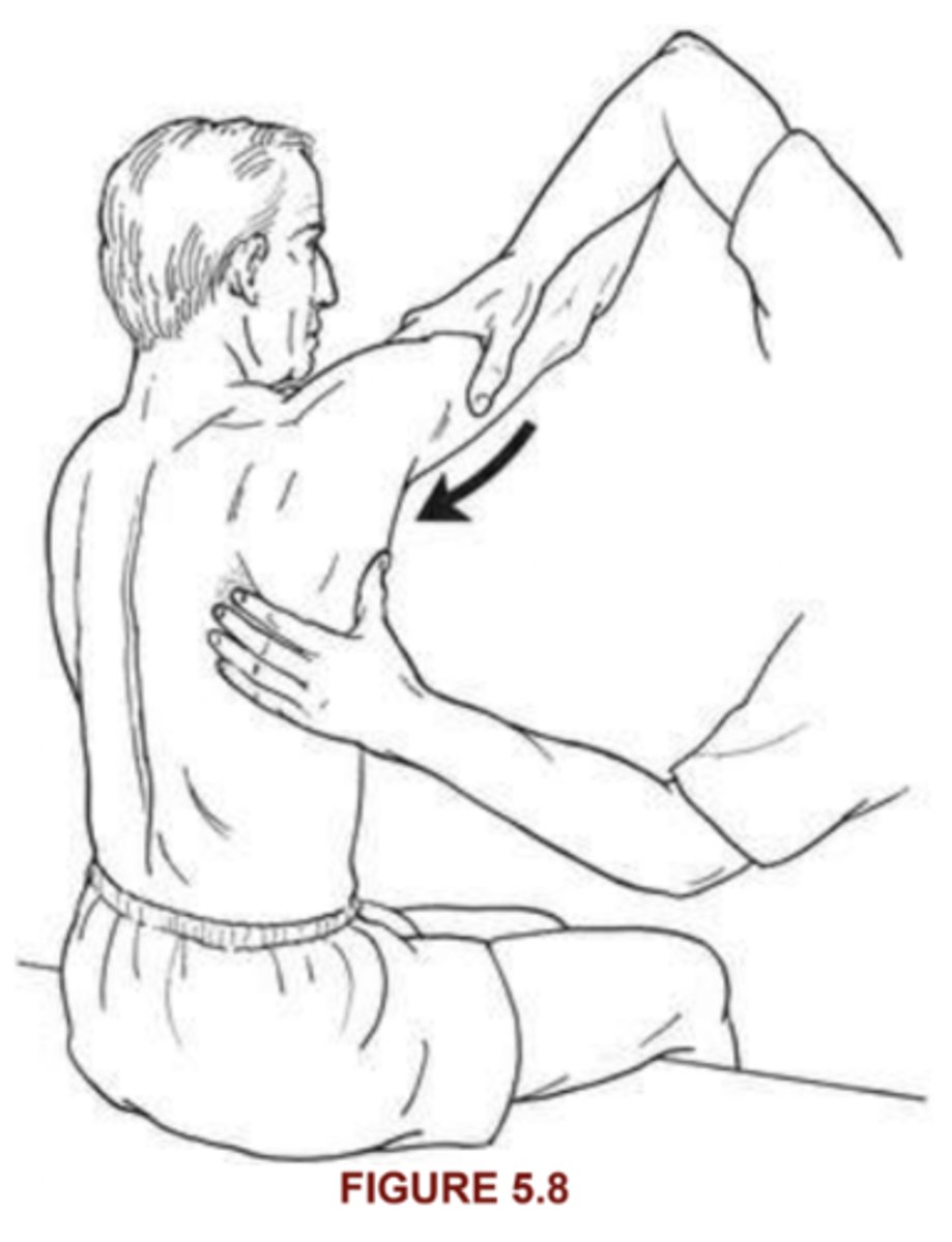 <p>serratus manterior, pec minor (up/low trap)</p><p>Position: sitting, arm foward flexed 130 deg, protract in plane as far as it can go</p><p>Instruction: stand behind pt and get up on table, ask pt to protract arm (punch forward) assess rom, stabilize trunk below scap and distal humerus, look for winging of meidal border off rib cage</p><p>3/5: scapula goes thru full rom w/out winging, w/out resistance</p><p>4/5: scapular muscles "give" or "yield" against maximal resistance</p><p>5/5: scapula maintain abd and rotated against max resis</p>