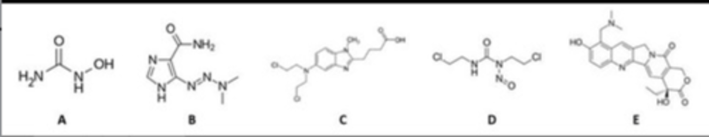 <p>Which agent represents a DNA methylator?</p>