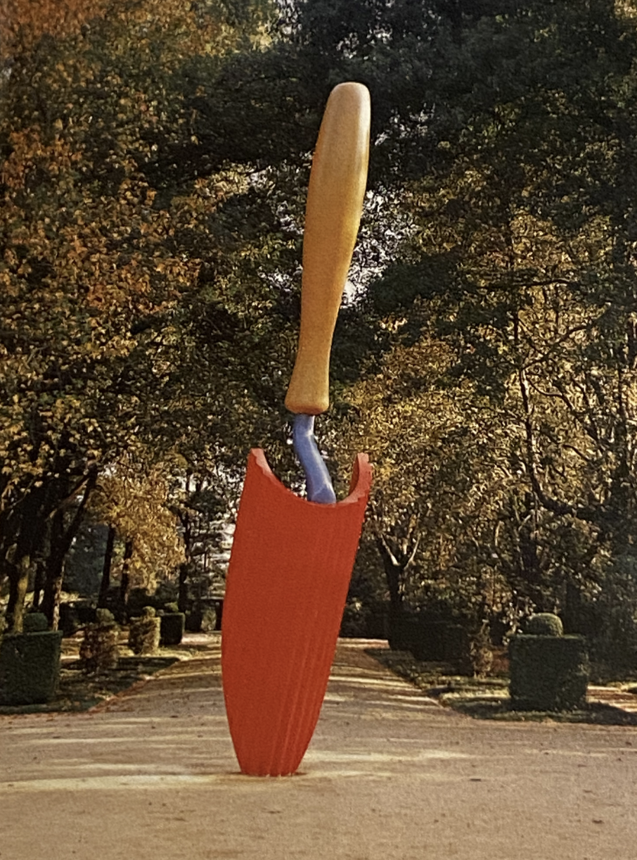 term image