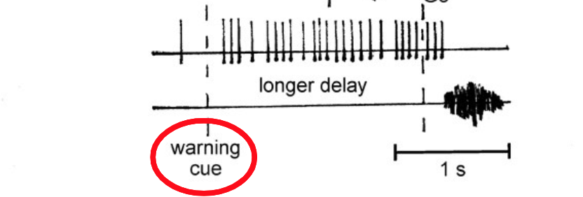 <p>What does it mean when there is a “longer delay period” in preparatory firing?</p>