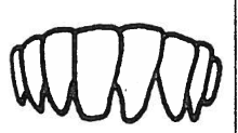 <p>How old?</p>