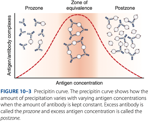 <p></p><p>If a false – reaction is suspected, <strong>diluting ou</strong>t the antibody &amp; performing the test again may produce a + result. </p>