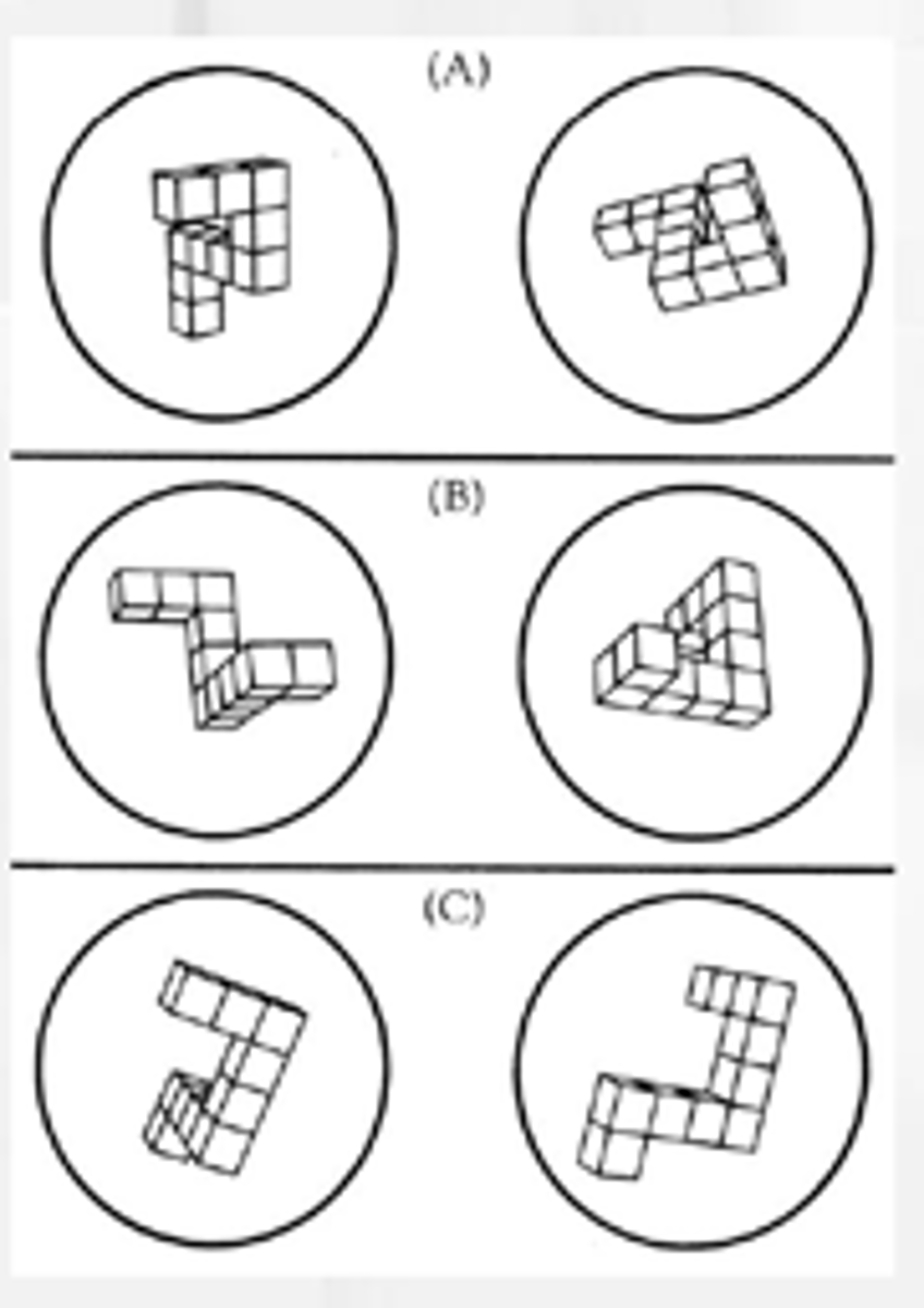 <p>Mental rotation task</p><p>Tasks that called for greater rotations took longer. The relationship between rotation and reaction time is a straight line.</p>