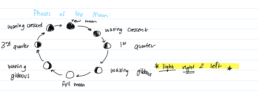knowt flashcard image
