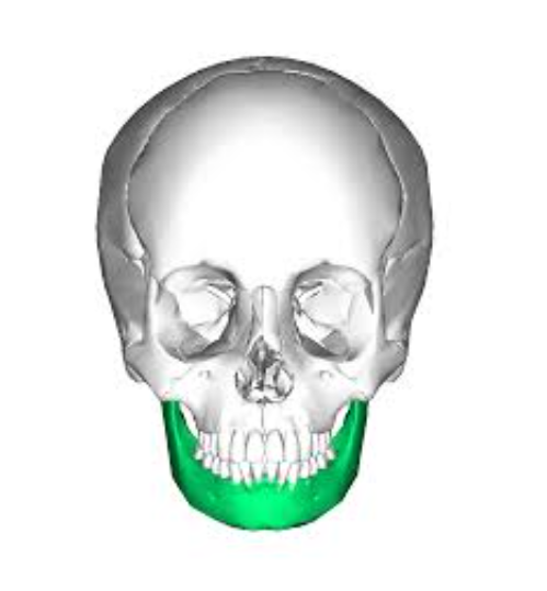 <p><strong>JAW </strong></p>