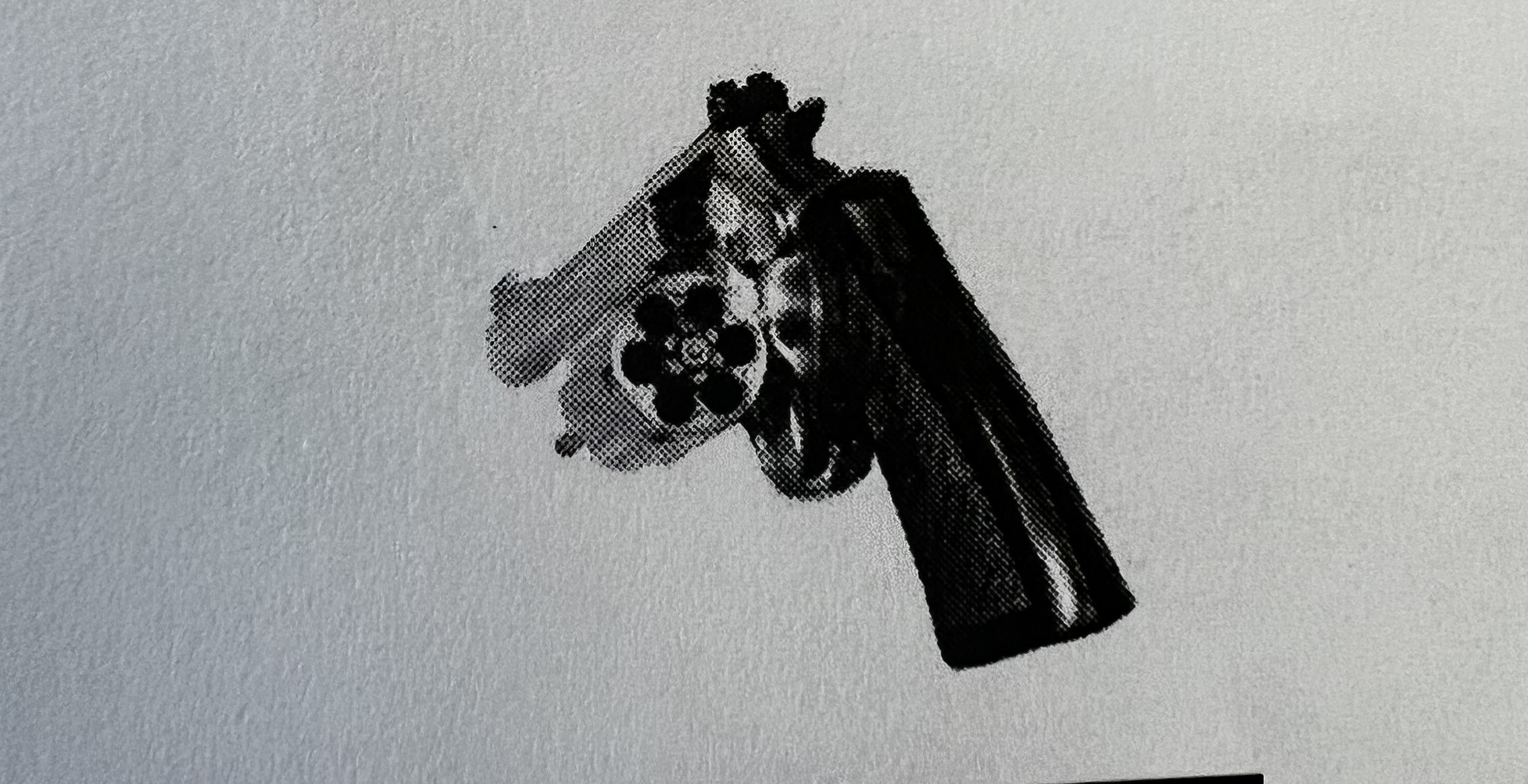 <p>Action in which a single pull of the trigger cocks and releases the firing mechanism </p>