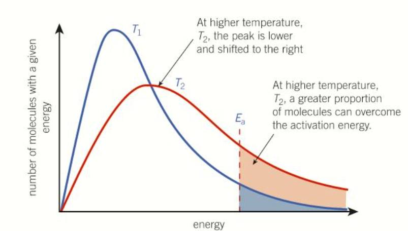 <p>T2 = higher temp</p>