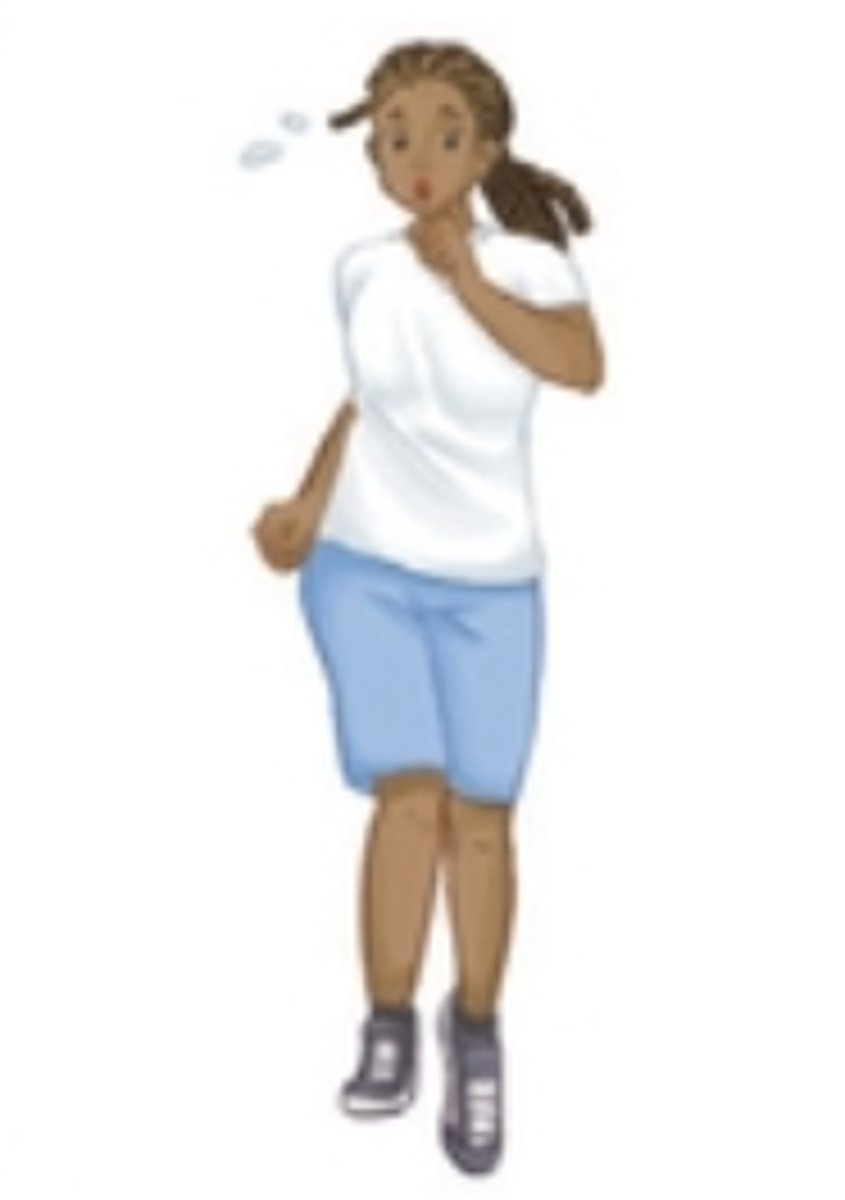 <p>exercise, workout</p>