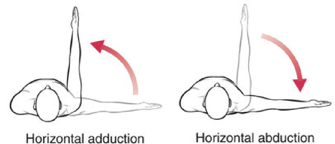 <p>Horizontal abduction</p><p>Horizontal adduction</p><p>Scaption</p>