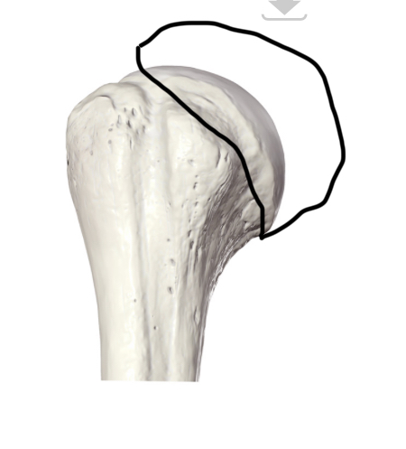 <p>Hoe heet dit deel?</p>