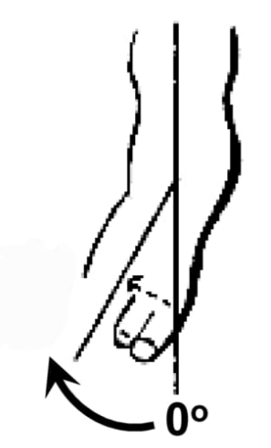 <p>Ankle external rotation</p>