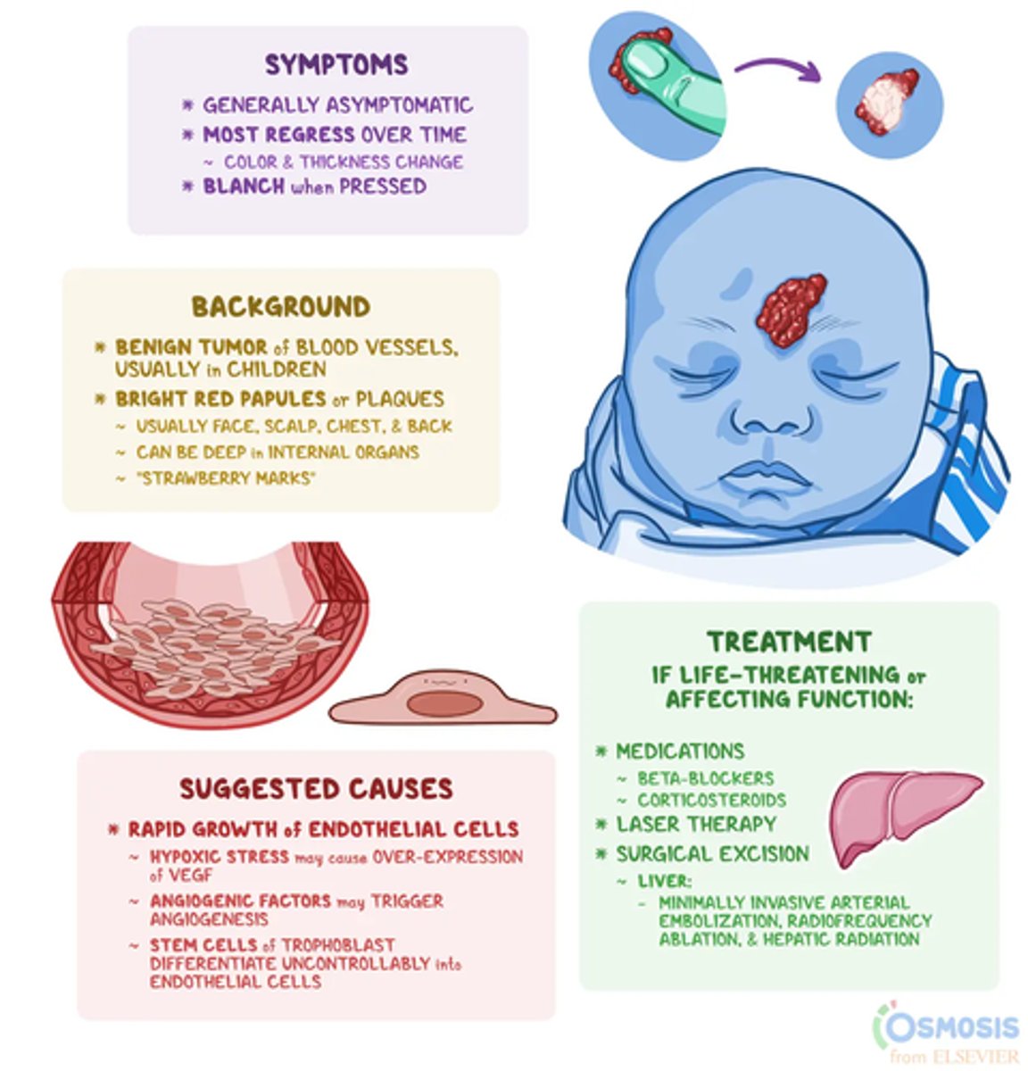 <p>- benign vascular tumor </p><p>- palpable bright red lesion </p><p>- develop in first 1-2 weeks </p><p>- rapidly enlarge during infancy </p><p>- resolve by age 10 </p>