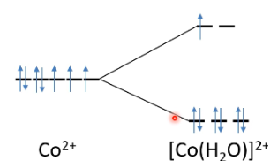 <p>Deze theorie zegt iets over de energieovergangen in d-orbitalen. Elk d-orbitaal heeft 5 mogelijkheden, met elk dezelfde hoeveelheid energie. De elektronen verschuiven dus niet van orbitaal. Bij een geladen atoom, zoals cobalt 2+, wordt deze beïnvloed door de watermoleculen eromheen. Het negatief geladen zuurstofatoom in het watermolecuul zal richting de Co 2+ wijzen. De elektronen van de 2 atomen zitten nu dus dichter bij elkaar, waardoor ze elkaar wegduwen omdat 2 gelijke ladingen elkaar afstoten. Hierdoor worden sommige (plekken in) orbitalen minder gunstig, waardoor de energieniveaus anders worden. Door de nu verschillende niveaus kan een elektron door licht in aangeslagen toestand komen en licht in het zichtbare spectrum uitstralen. Afhankelijk van de moleculen is de opsplitsing en dus de kleur anders. Dit principe wordt toegepast in kleurtesten waarin gebruik wordt gemaakt van metalen.</p>