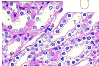 <p>What is this?</p>