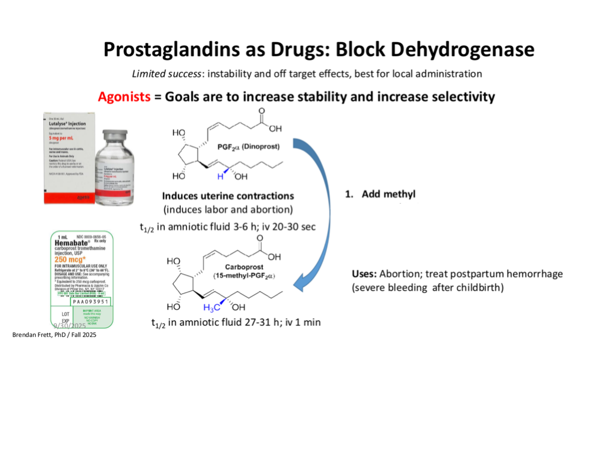 <p></p><ol><li><p>add methyl —></p></li></ol><p></p>